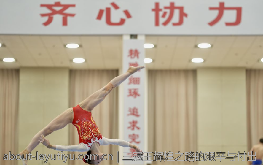 三冠王辉煌之路的艰辛与付出