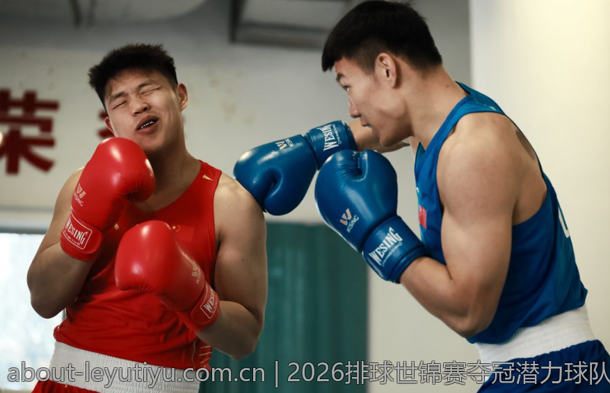 2026排球世锦赛夺冠潜力球队盘点与赛事前瞻